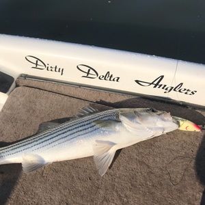 Meet your Posher, Neil